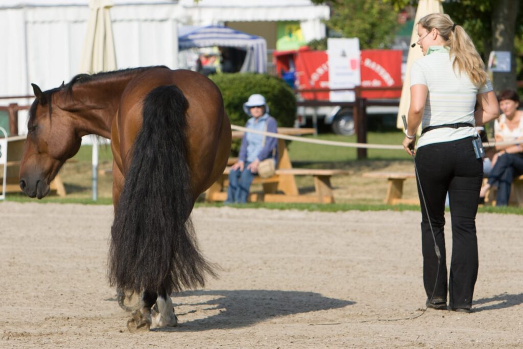 Pferd Freiarbeit seitwärts